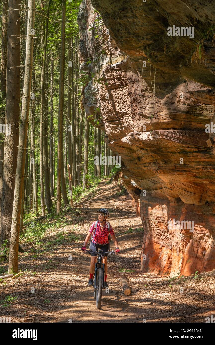 Forest path mountain bike not abstract hi res stock photography