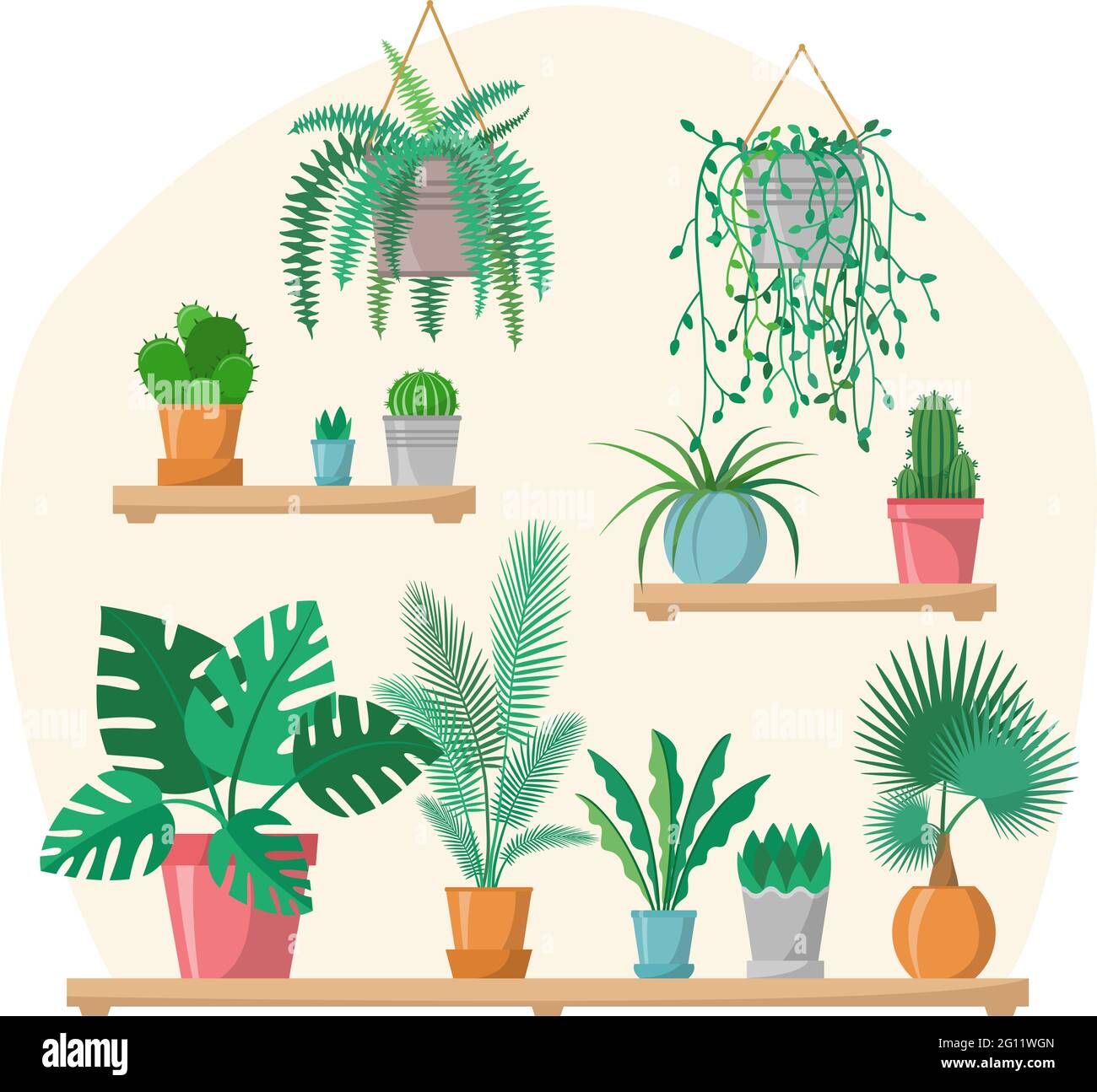 House plants collection in flat style with details, indoor home plants in colorful pots on shelves, green set, palms, cactus, fern, vector greenery il Stock Vector