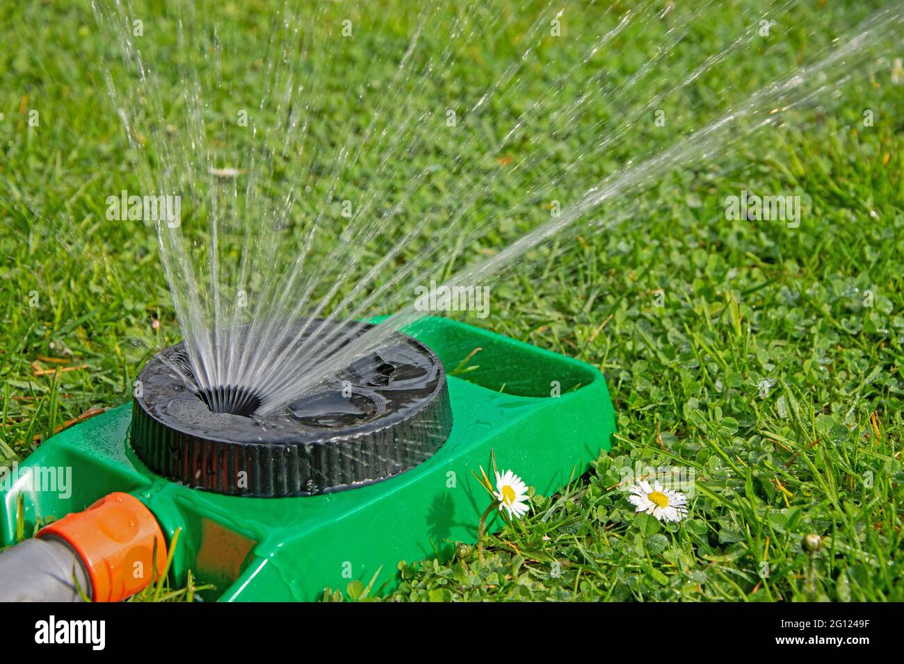 Lawn sprinkler irrigates a meadow Stock Photo
