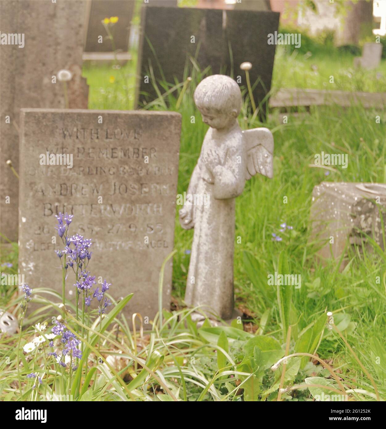 A stone angel by a grave stone in Mickleover cemetery, Derby, Derbyshire, UK Stock Photo