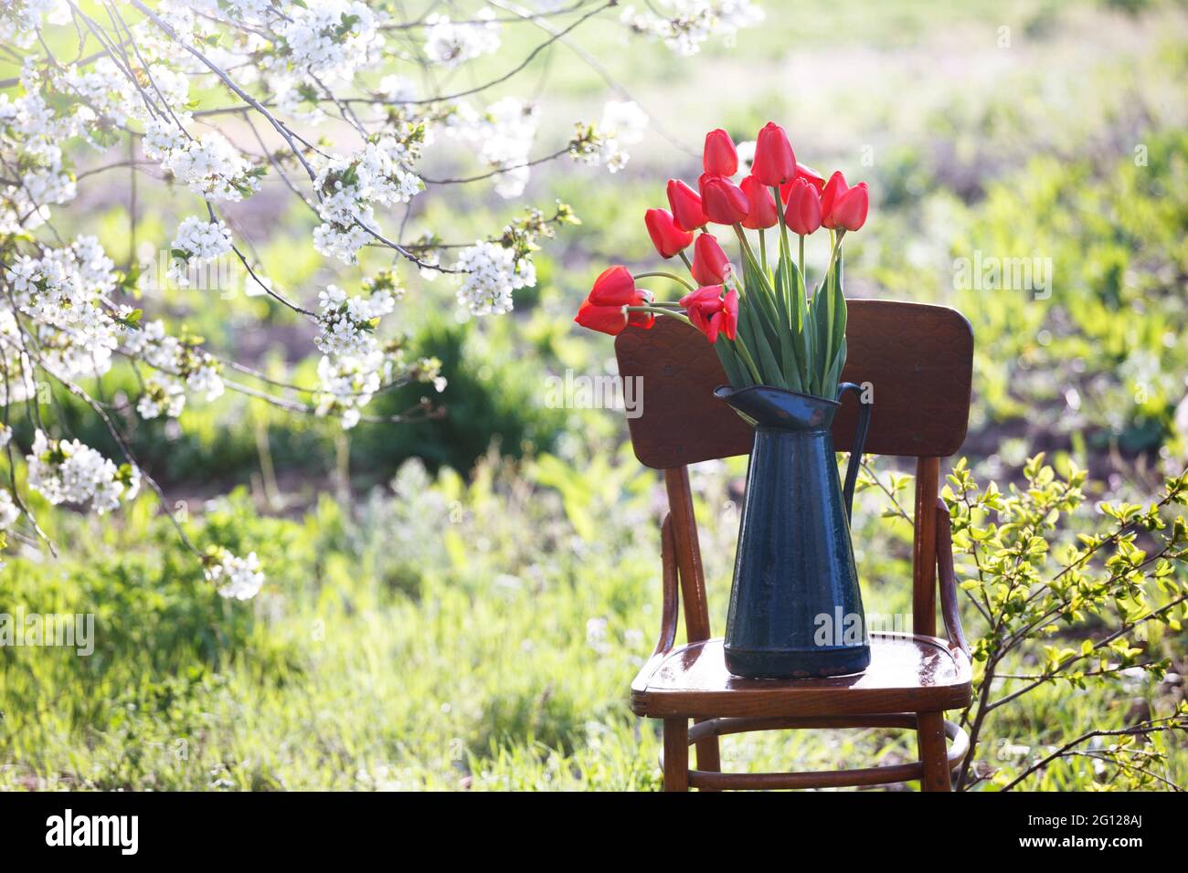 spring garden and steel life. red tulips in a retro jug stand on a Viennese chair in the garden Stock Photo