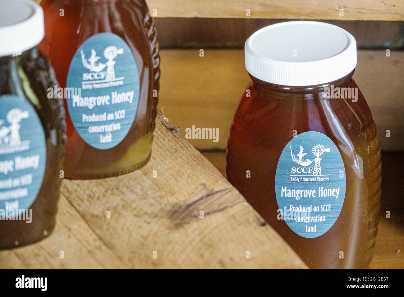 Florida Sanibel Island SanibelCaptiva SCCF Native Landscapes & Garden