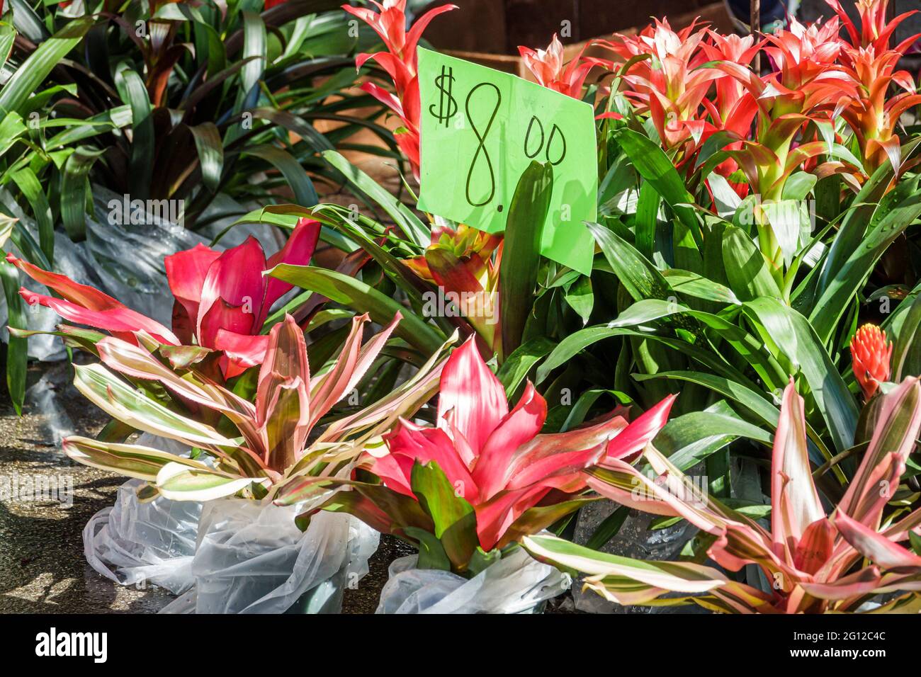 Downtown farmers market orlando hires stock photography and images Alamy