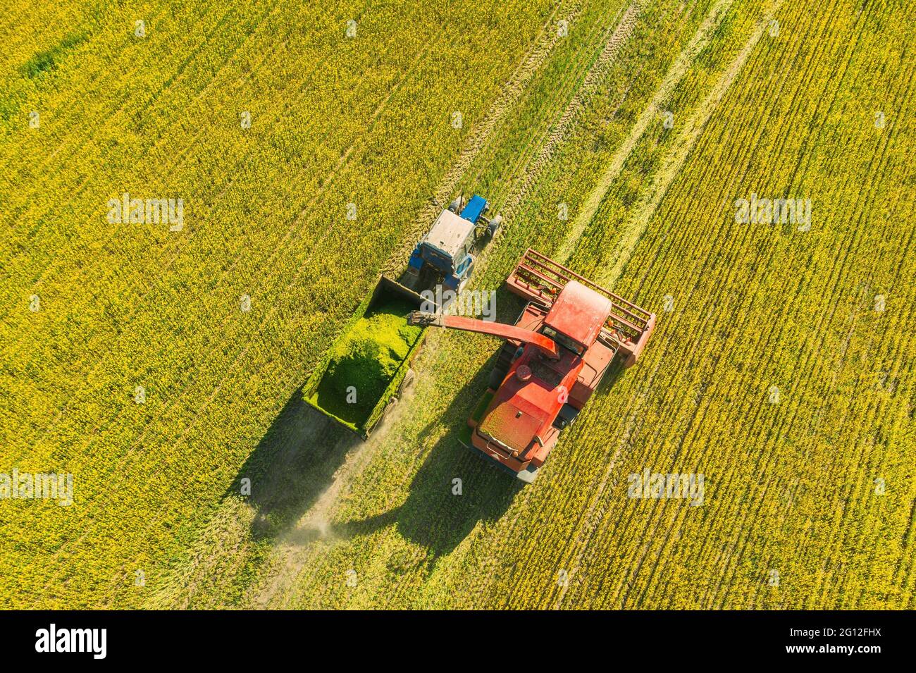 Aerial View Of Rural Landscape. Combine Harvester And Tractor Working