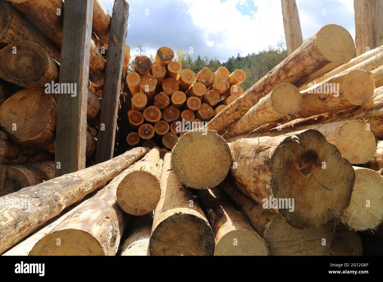 Construction timber in a sawmill in the Palatinate, Germany. Timber prices have almost tripled compared to the previous year. Stock Photo