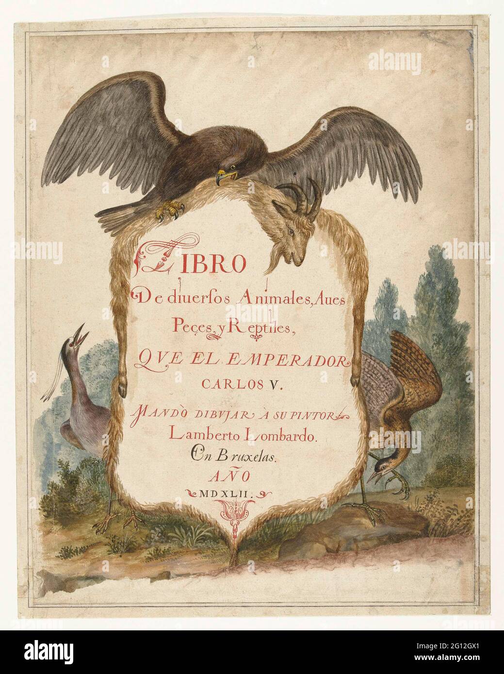 Cartouche ceased by a bricking, kwak and Roerdomp; Lombard album. Cartouche of goat skin, crazed by a stone-earned (Aquila Chrysaetos), Kwak (Nyciticorx Nyciticorax) and Roerdomp (Botauris Stellaris). Stock Photo