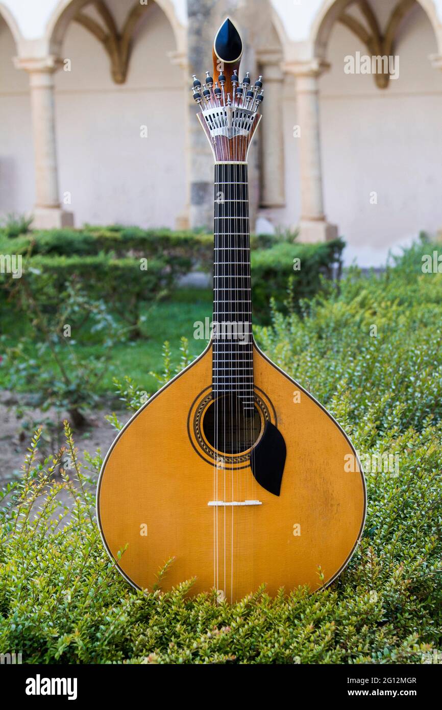 Close view of a traditional Portuguese guitar on top of an arranged garden  Stock Photo - Alamy
