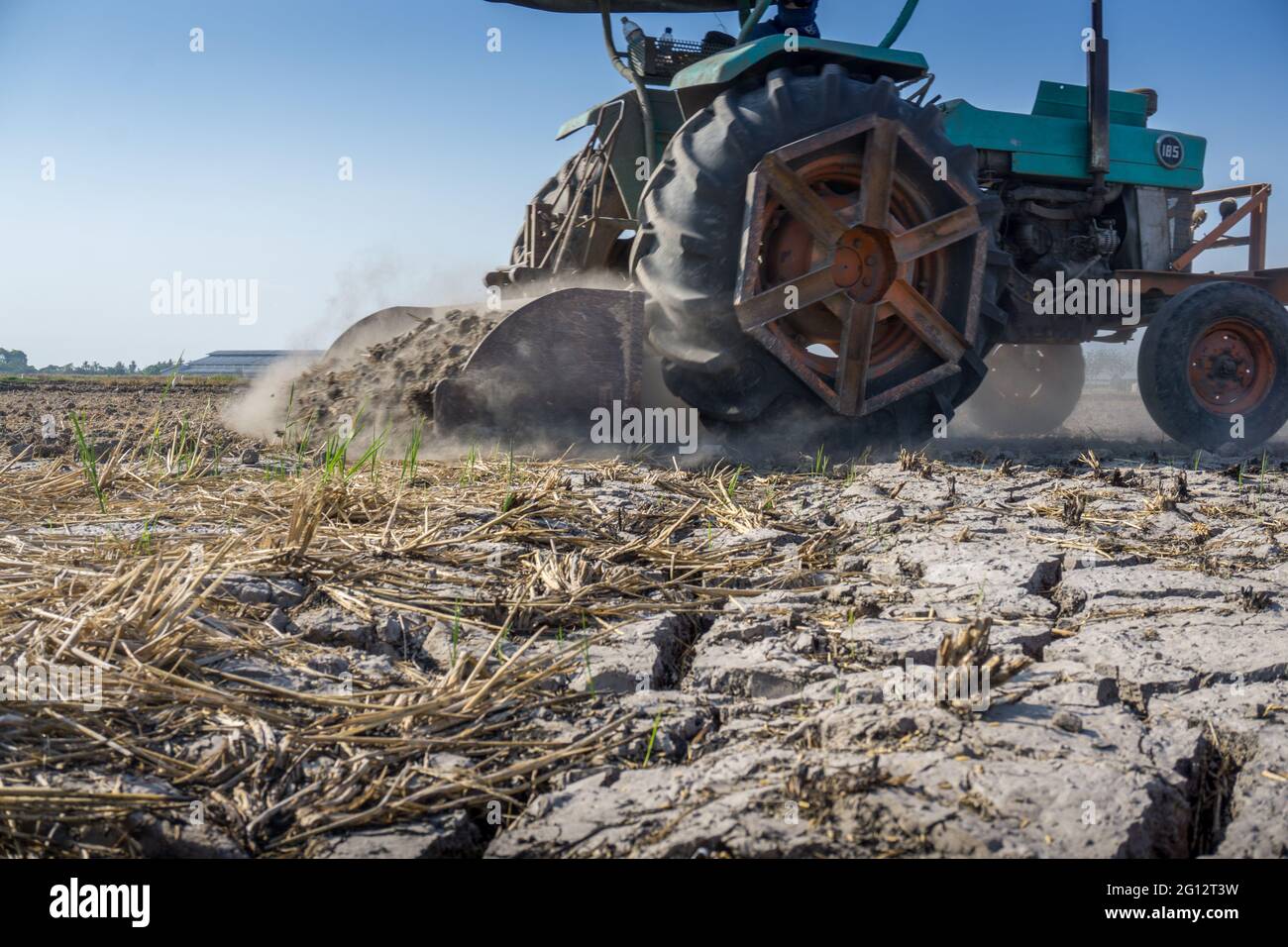 Land leveling by tractor in paddy field Stock Photo Alamy