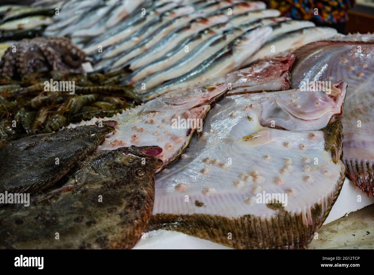 Raw fish on Batumi fish market in Stock Photo Alamy