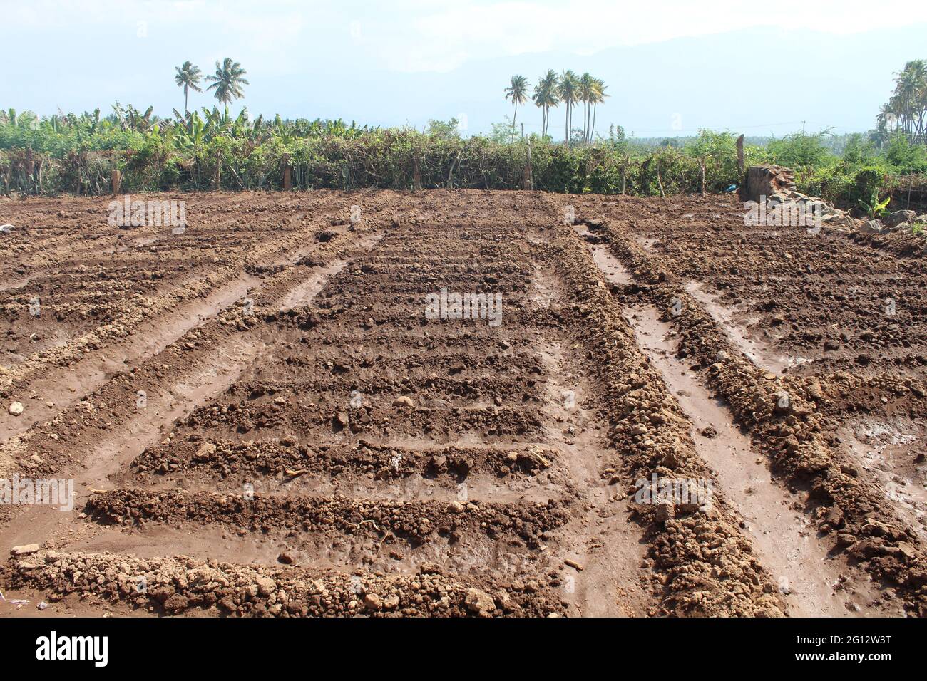 Agriculture land getting ready Stock Photo Alamy