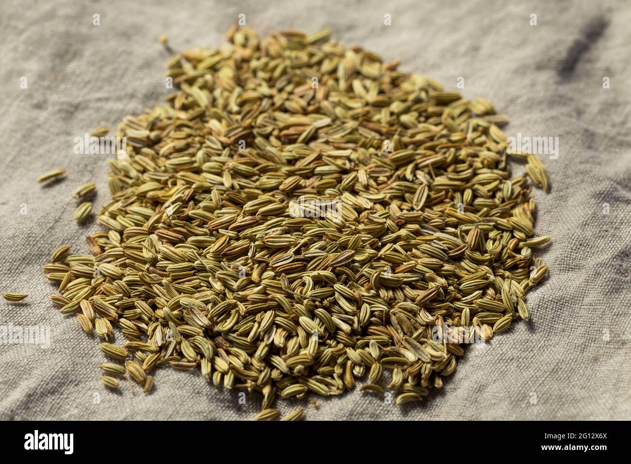 Homemade Raw Fennel Seeds in a Bowl Stock Photo