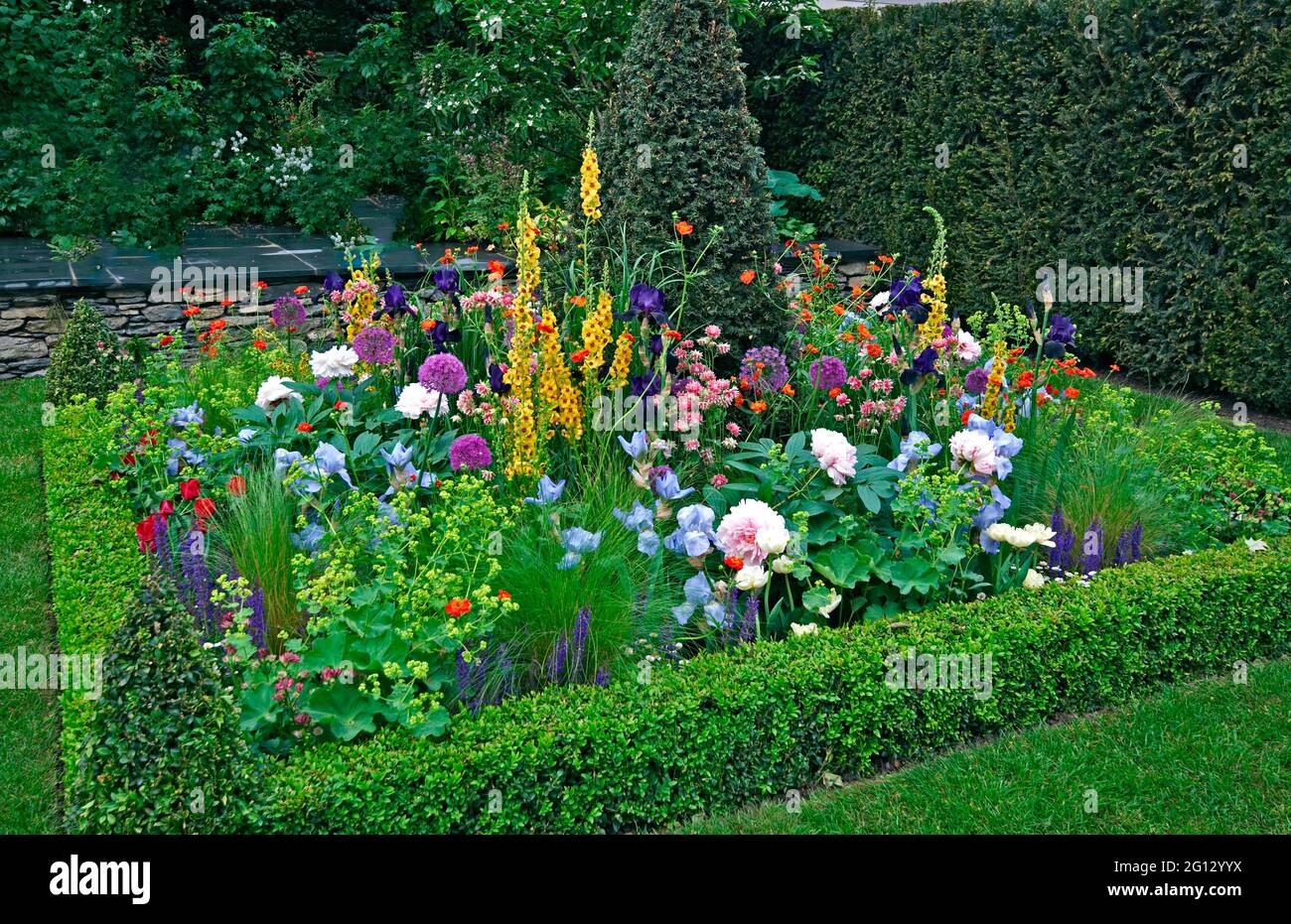 A full and colourful flower border in a clipped Box display Stock Photo