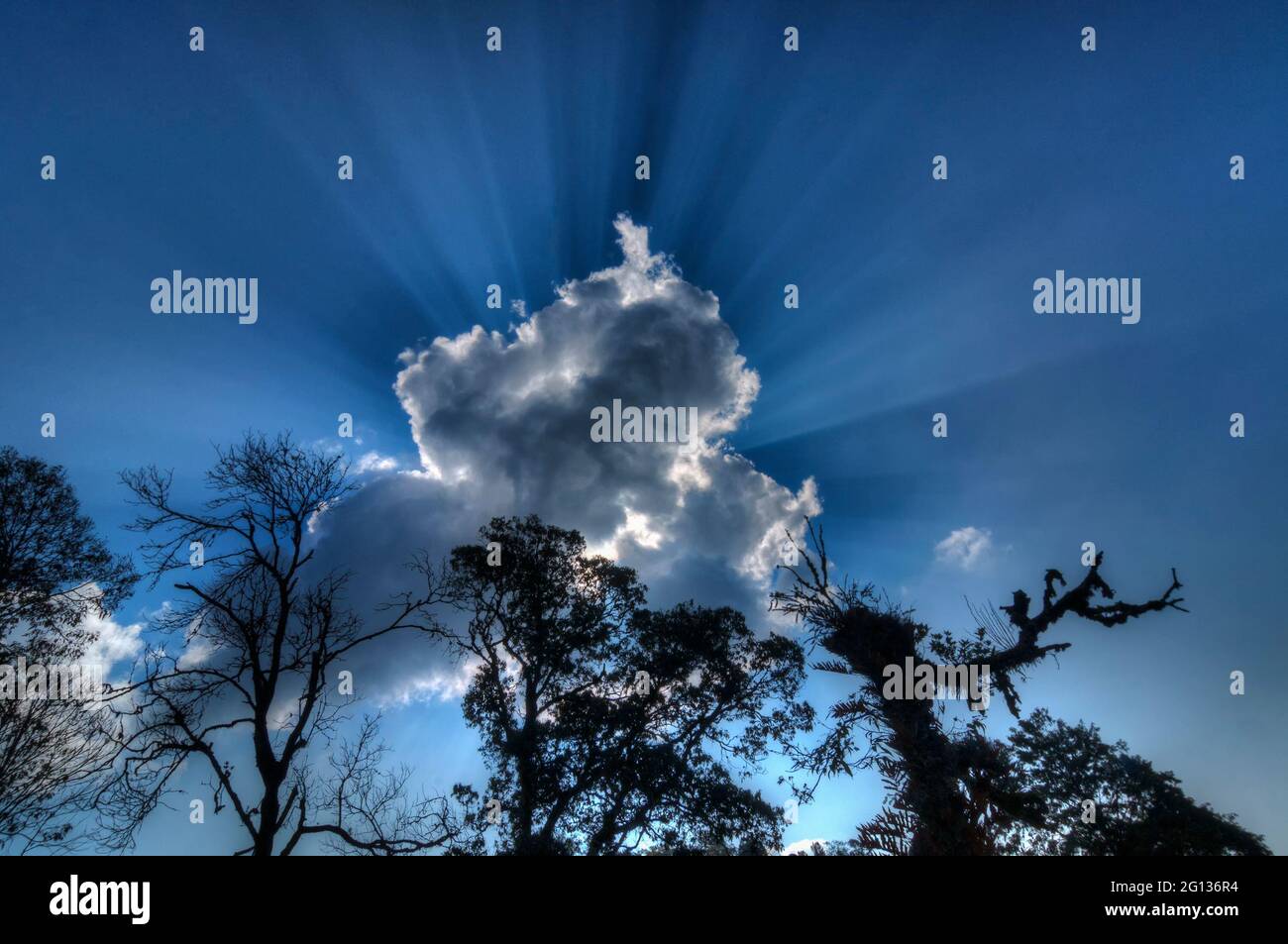 Beautiful image of Sun light beams coming from behind cloud, blue sky and trees , a natural phenomenon. Stock image shot at Sikkim, West Bengal, India Stock Photo