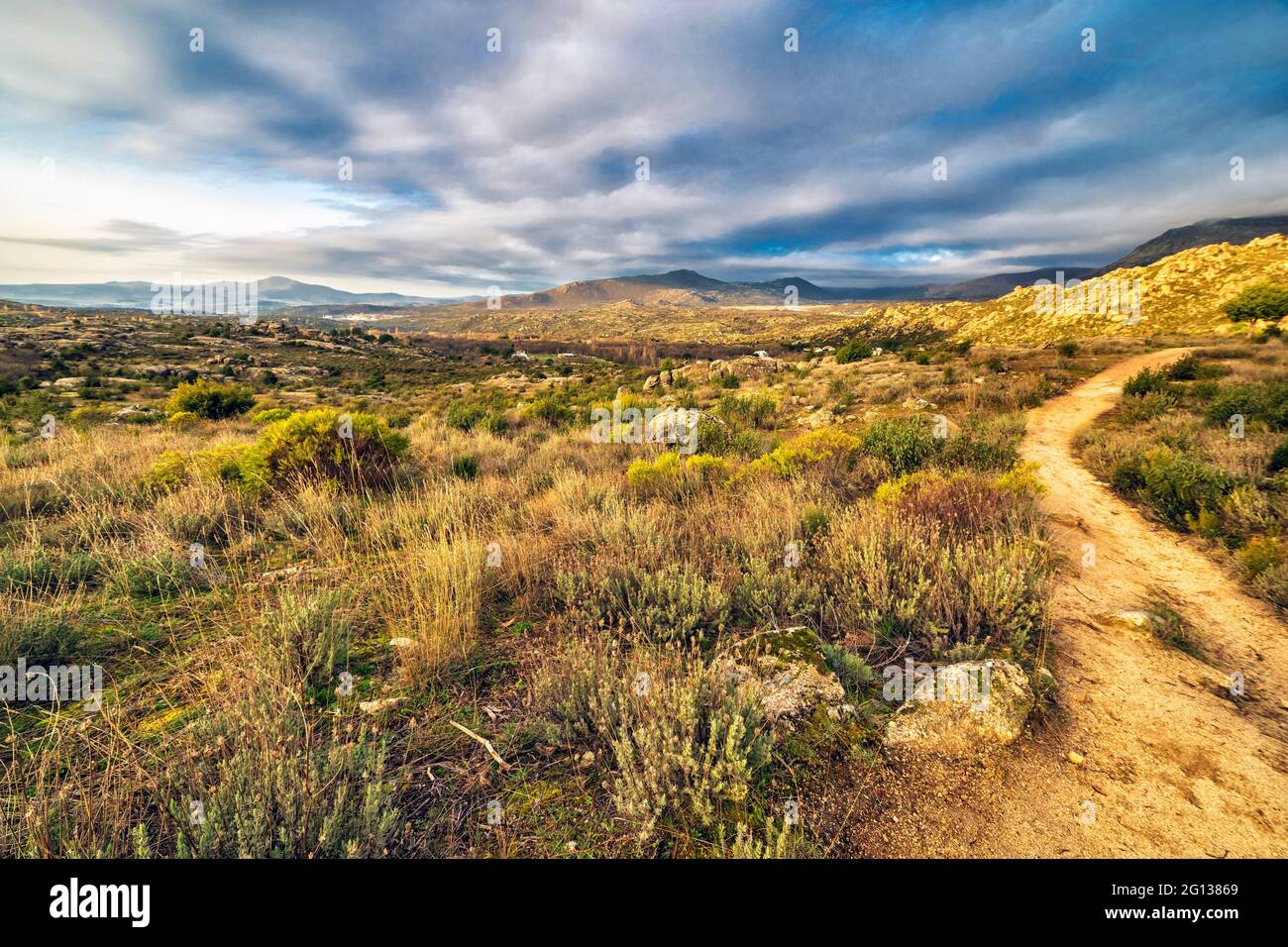 Pathway, cistus, bushes and rocks at Sierra Cabrera early in the morning. Madrid. Spain. Europe. Stock Photo