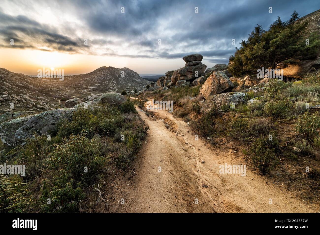 Pathway, cistus and rocks at Sierra Cabrera early in the morning. Madrid. Spain. Europe. Stock Photo