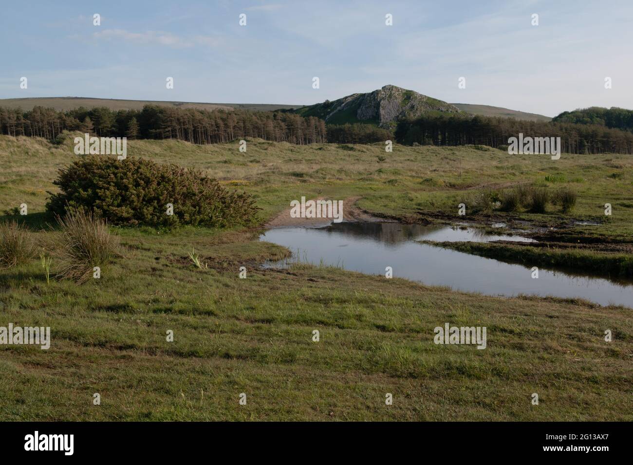 Cwm Ivy Tor, Llanmadoc, The Gower, Wales, UK Stock Photo