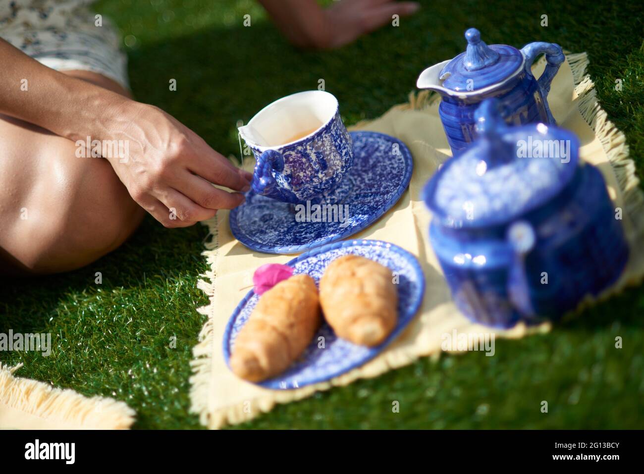 Detail of woman sitting on the grass with cup of tea in the picnic. Stock Photo