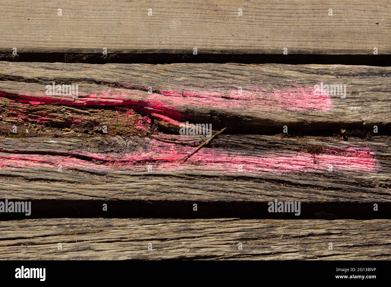 Damaged wooden planks with pink spray paint markings to mark as to renew Stock Photo