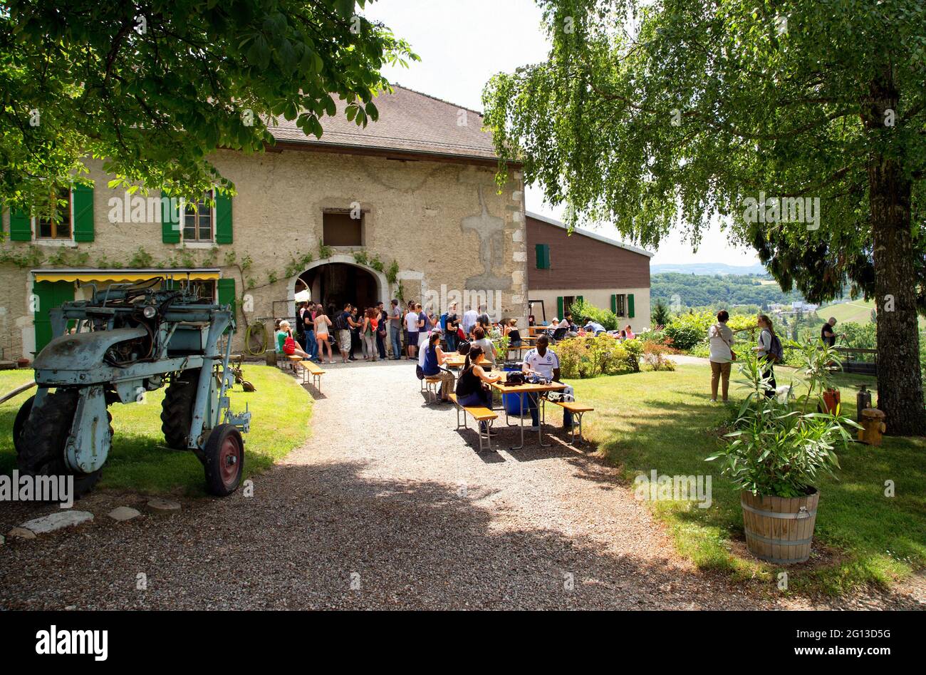 ´Caves ouvertes´ annual event when vineyards and cellars are open for public and tasting wines is possible, people enjoying event and tasting wines, Stock Photo