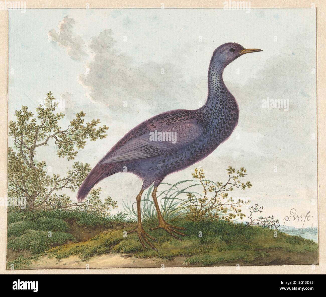 Avian depiction hi-res stock photography and images - Alamy