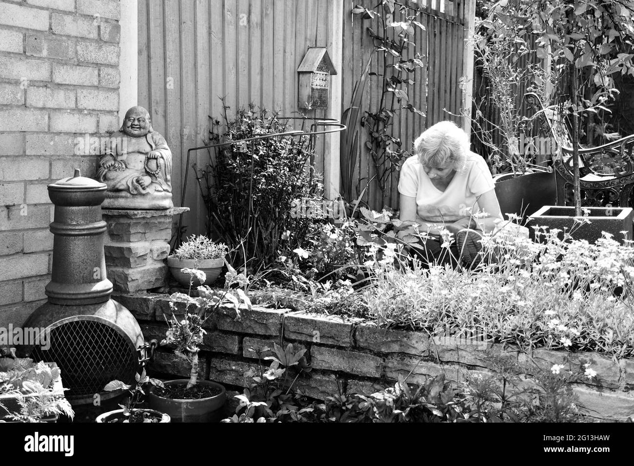 Lady attending to her garden Stock Photo