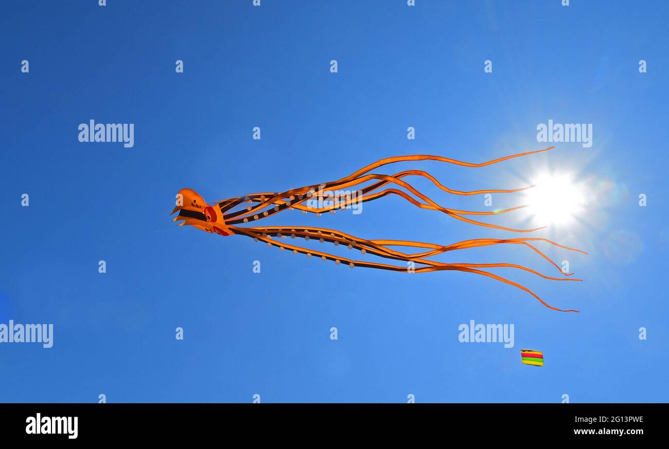 Octopus Kite against blue sky with sun Stock Photo