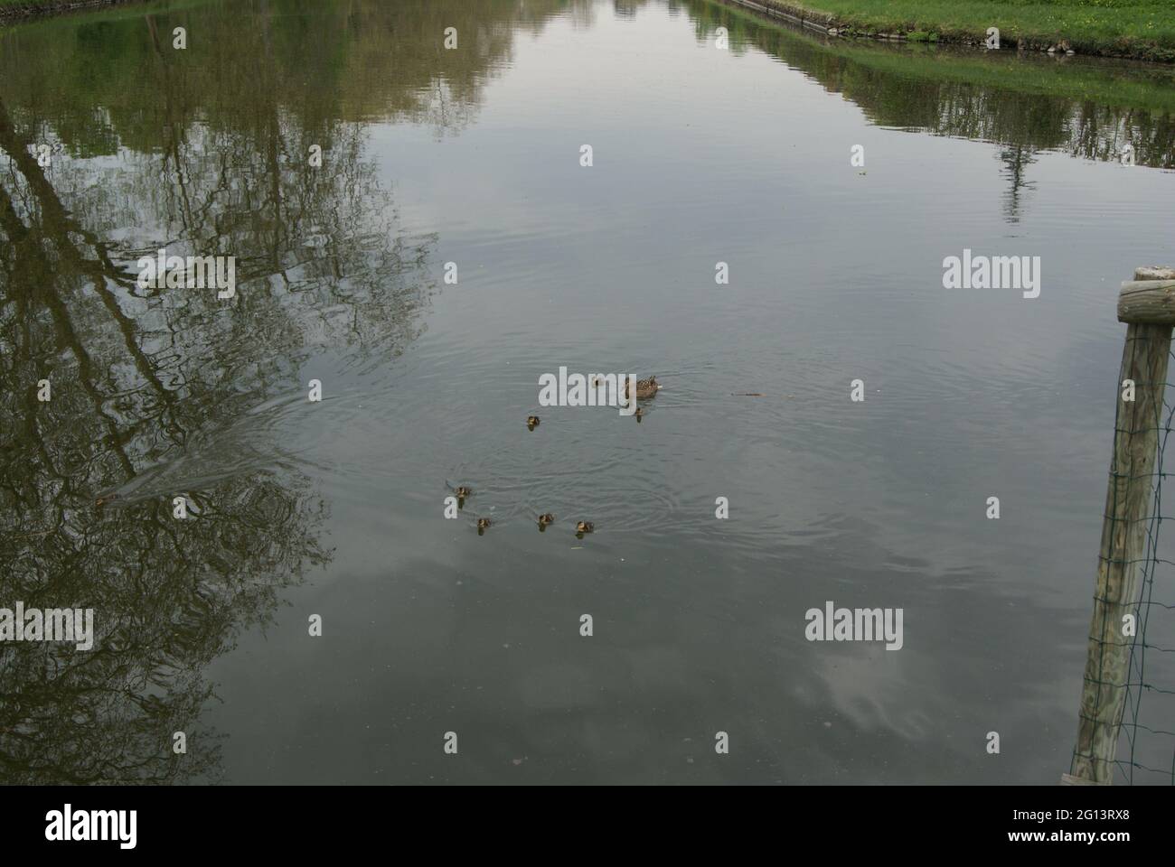 Le parc du château de Rambouillet,Yvelines,France Stock Photo  Alamy