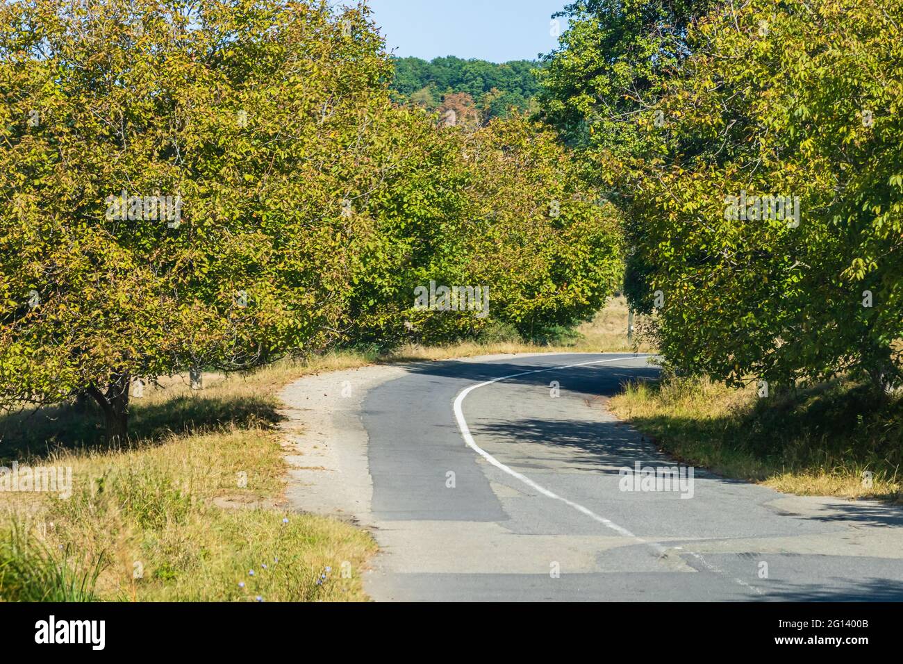 Country road, asphalt street between autumn trees Stock Photo - Alamy