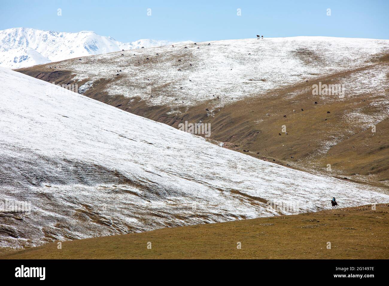 View over the Assy Plateau where the nomads go to spend the summer, near Almaty, Kazakhstan Stock Photo