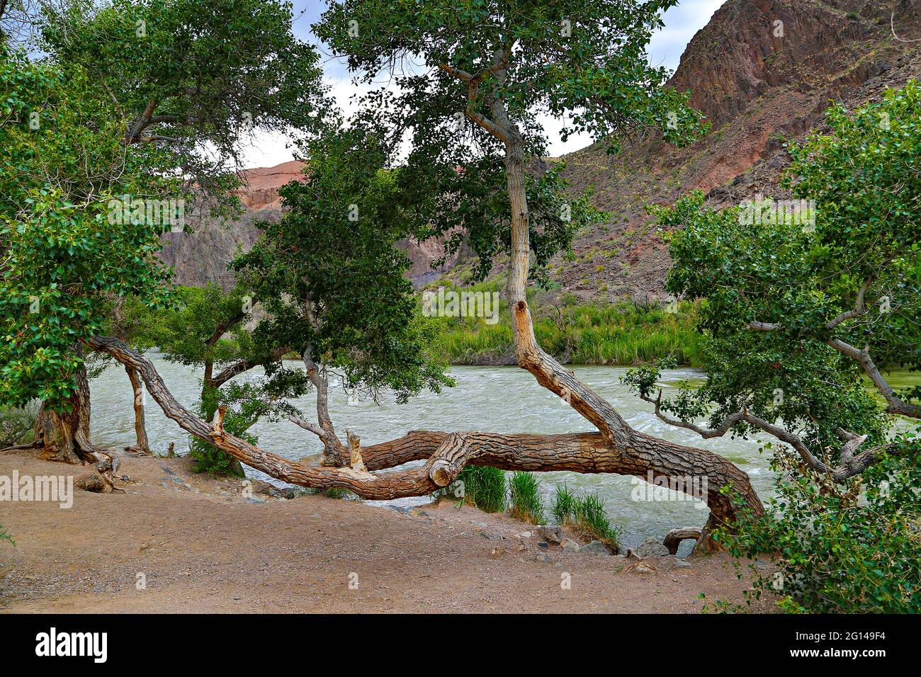 Charyn river in the Charyn Canyon in Kazakhstan Stock Photo