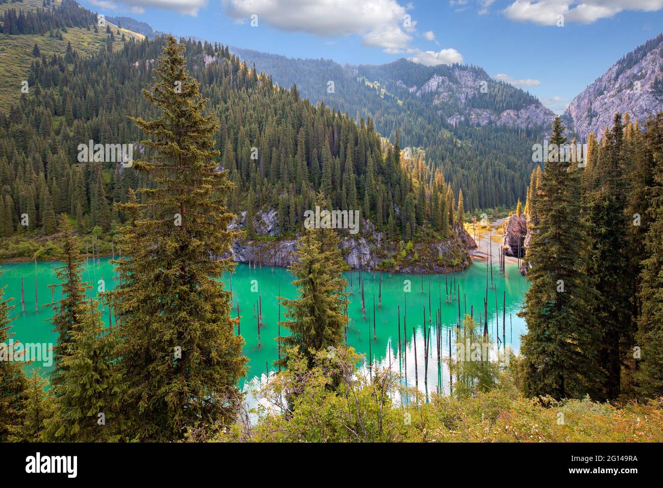 Kaindy Lake in Kazakhstan known also as Birch Tree Lake or Underwater forest, with tree trunks coming out of the water. Stock Photo