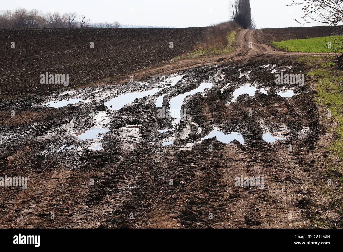 Country road after the rain. Track from car wheels in a huge puddle. Stock Photo