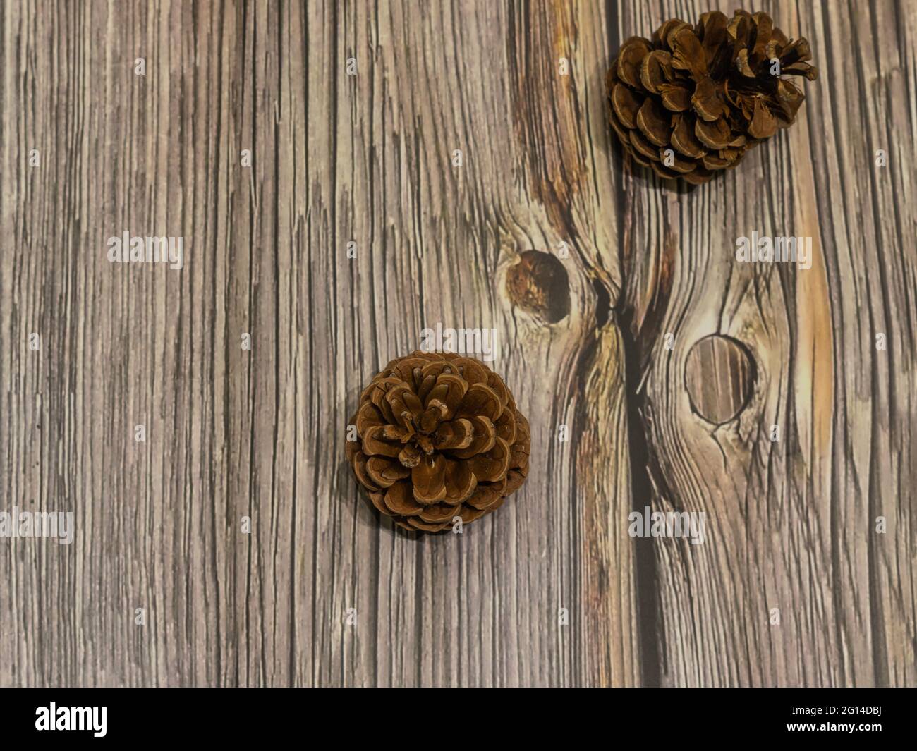 pine cones scattered on wooden background Stock Photo