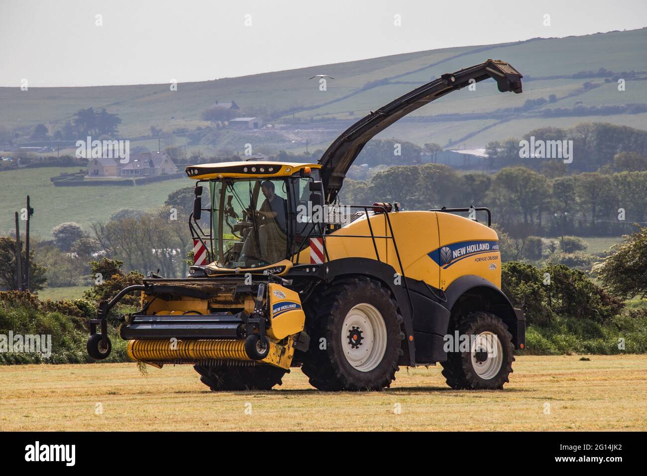 New Holland FR550 Stock Photo - Alamy