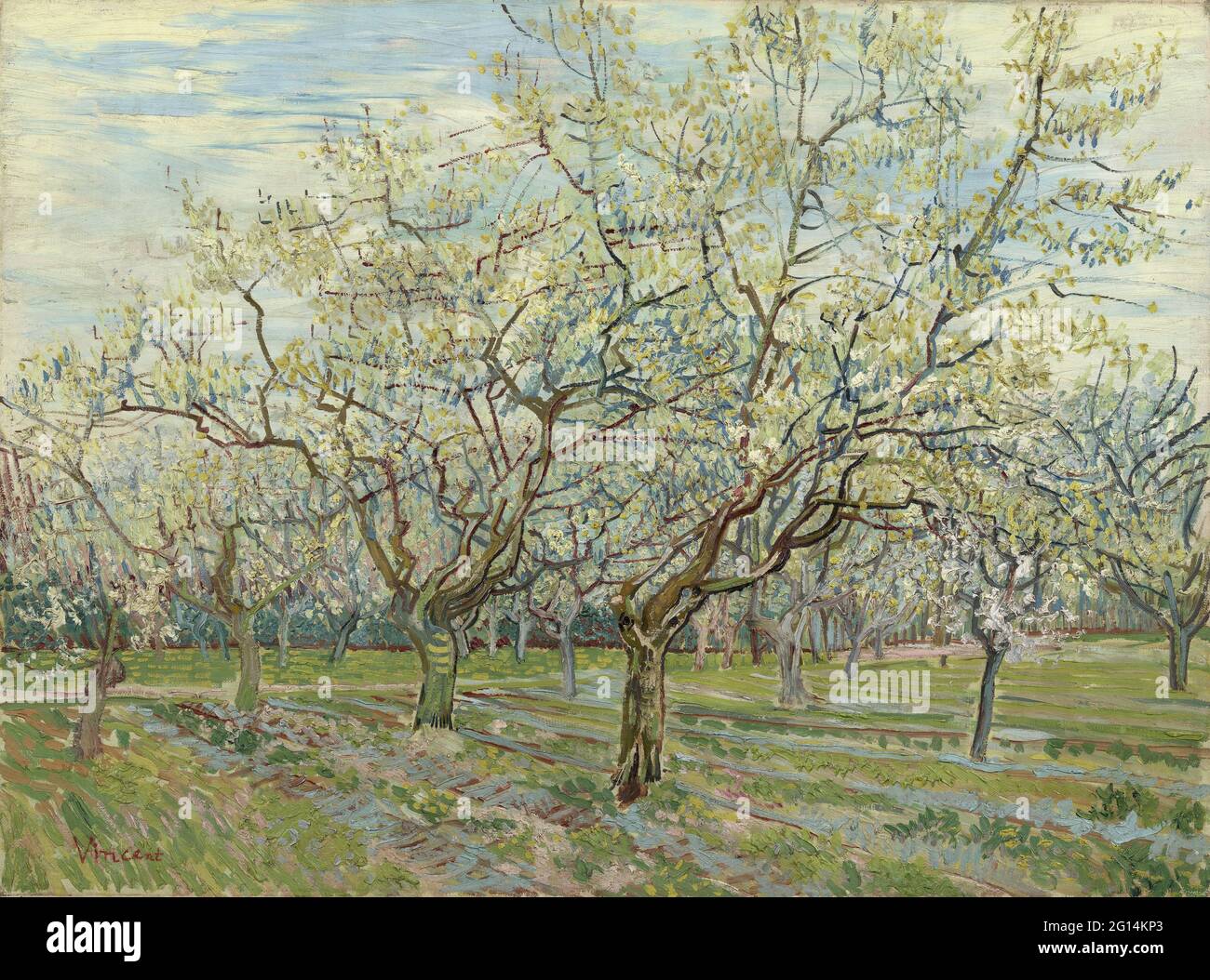 the white orchard van gogh