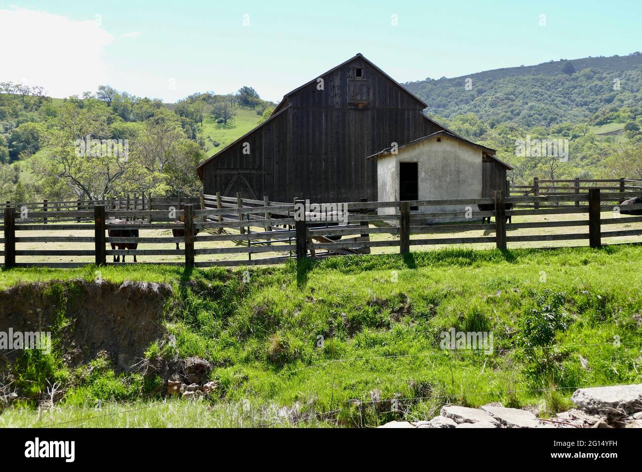 cattle ranch with vintage barn and fenced paddock Stock Photo