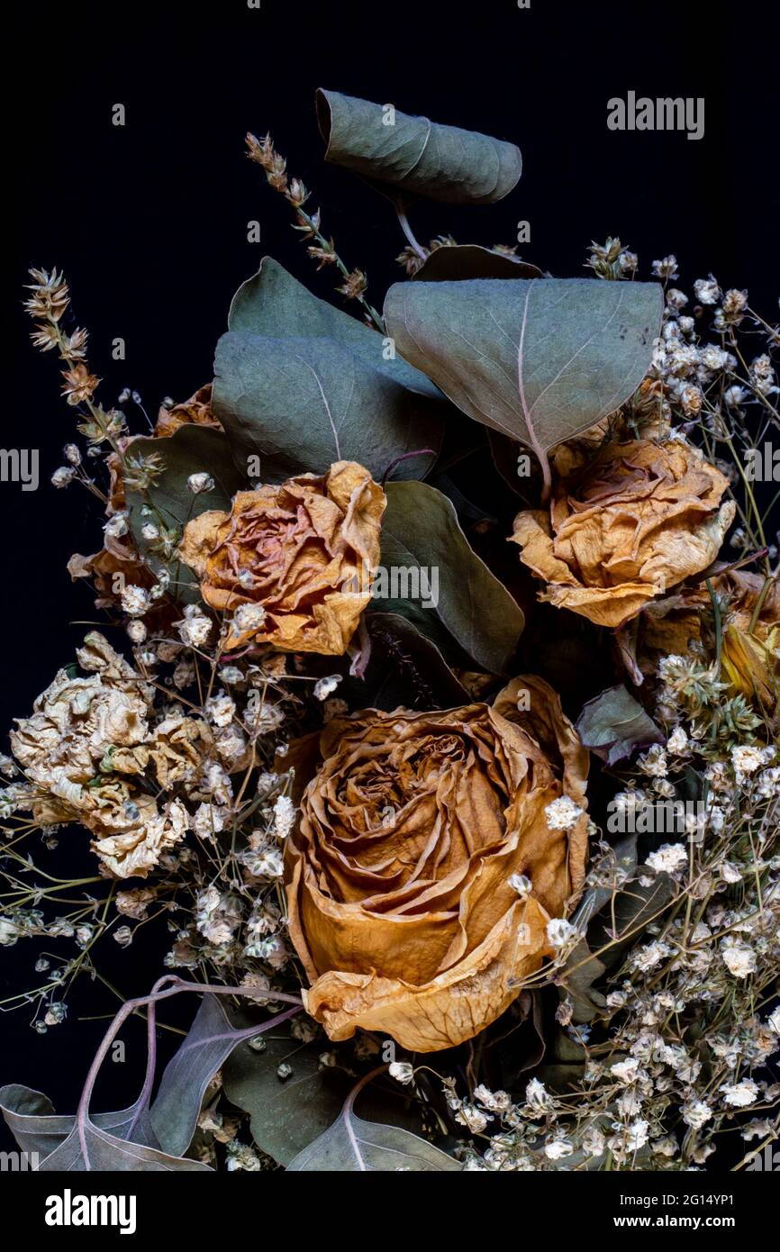 Beautiful dry flower bouquet on black background.Real unique still life  composition. Floral card design with dark vintage effect Stock Photo - Alamy