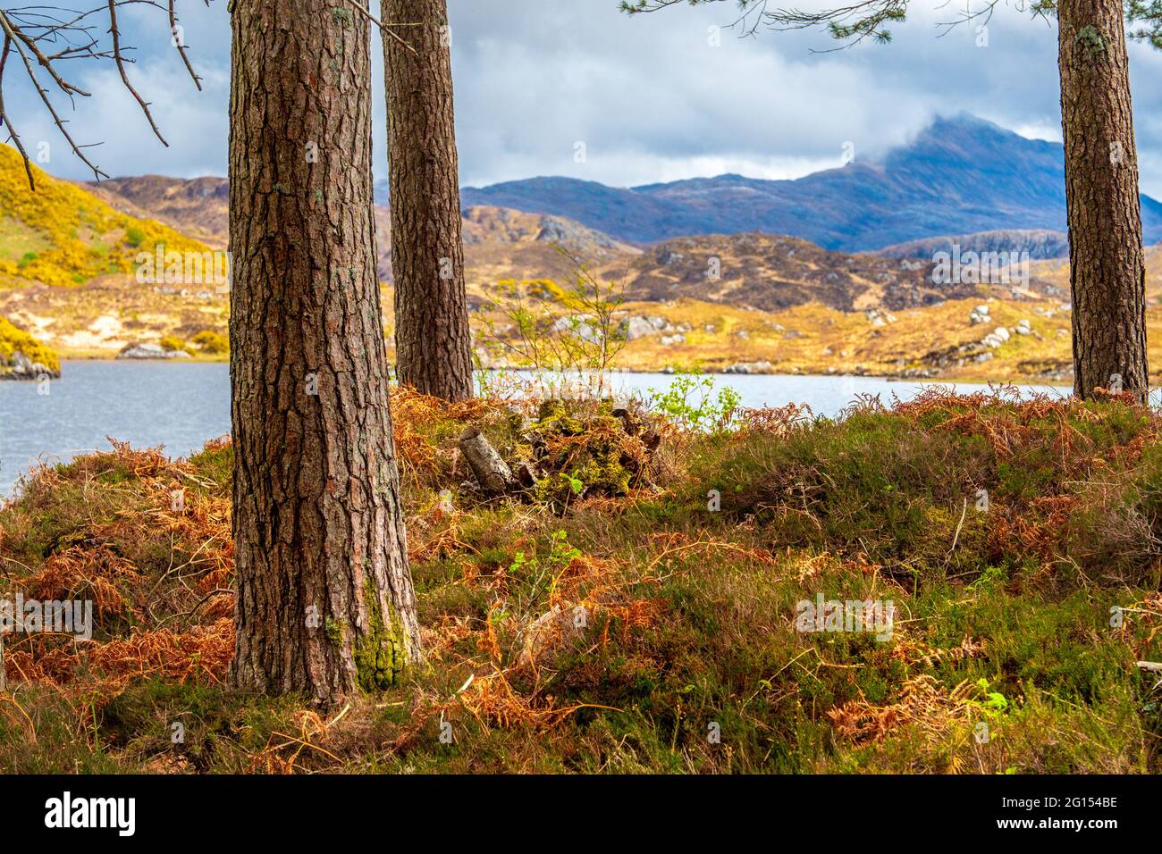 Scenery in Glen Canisp in the Assynt area of the North West Highlands of Scotland Stock Photo