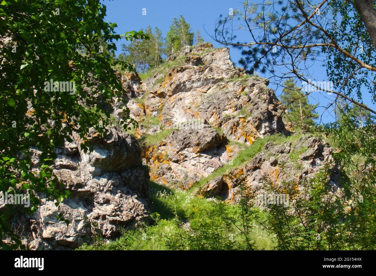 Small Bor tract, Hakkasia. Forests and meadows Khakassia Stock Photo ...