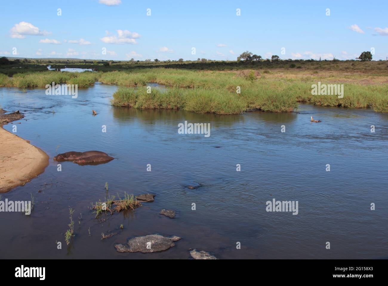 Sabie River / Sabie River Stock Photo - Alamy