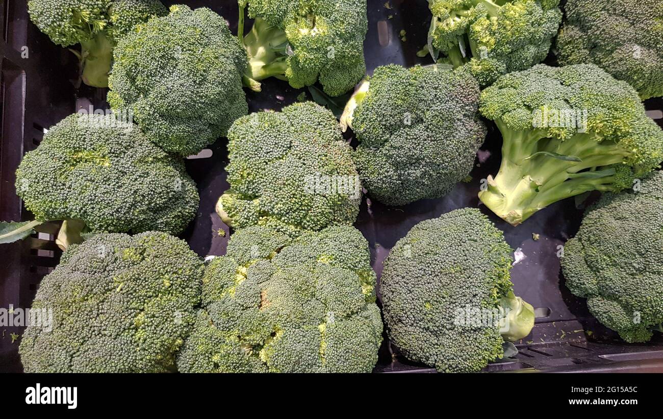 Macro photo green fresh vegetable broccoli. Fresh green broccoli on a black stone table.Broccoli vegetable is full of vitamin.Vegetables for diet and Stock Photo