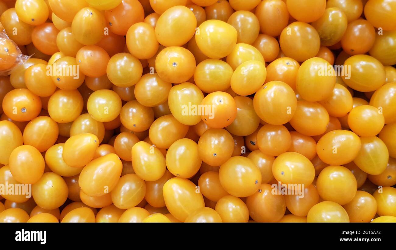 Yellow Cherry tomatoes for background, cherry tomatoes for wallpaper, yellow cherry tomatoes Stock Photo
