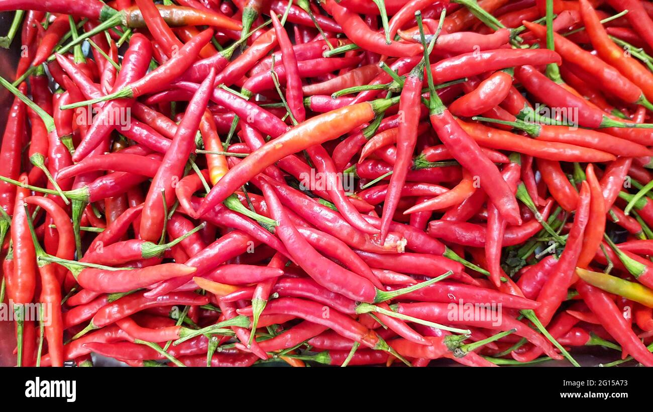 Closeup of fresh red chilli that sale in Thailand's Food Market Stock Photo Alamy