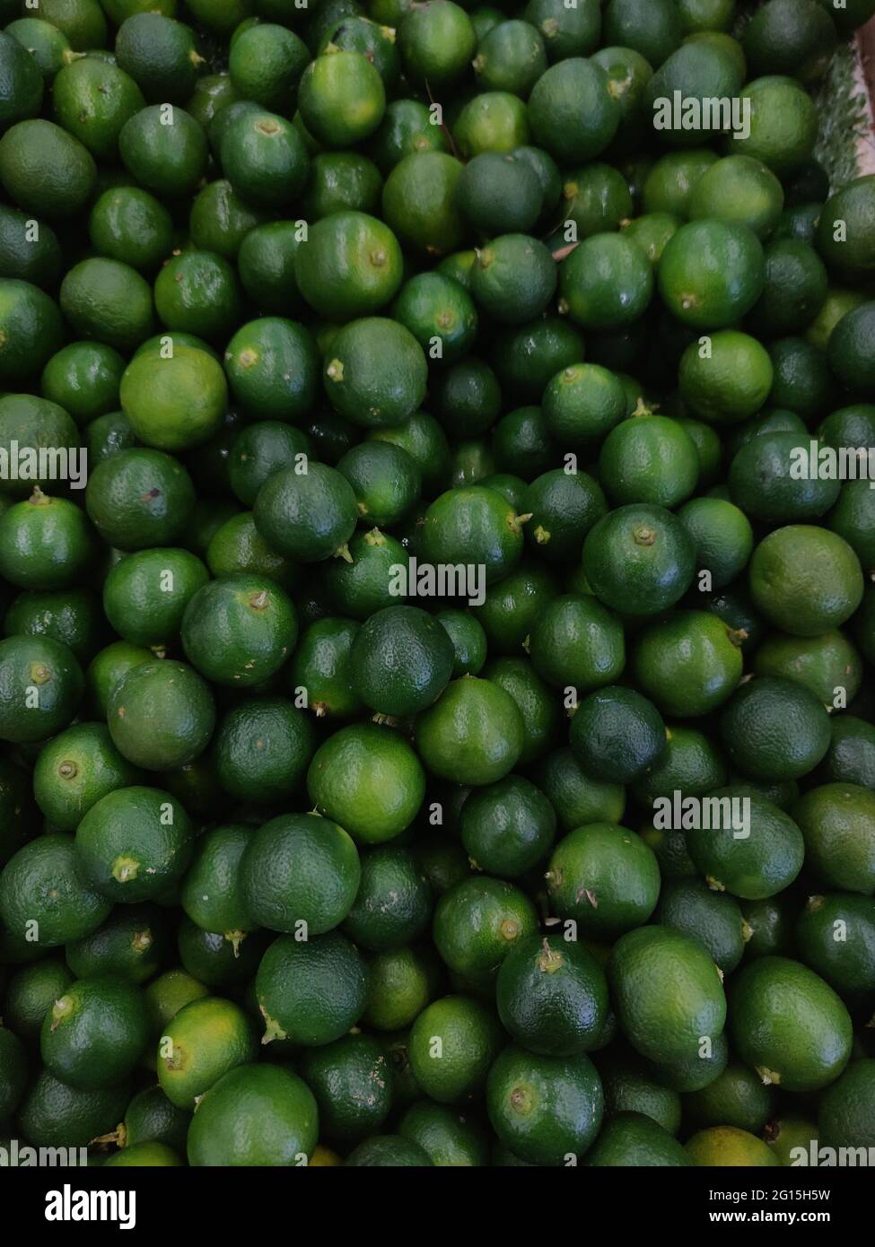 Calamansi Fruit High Resolution Stock Photography and Images - Alamy