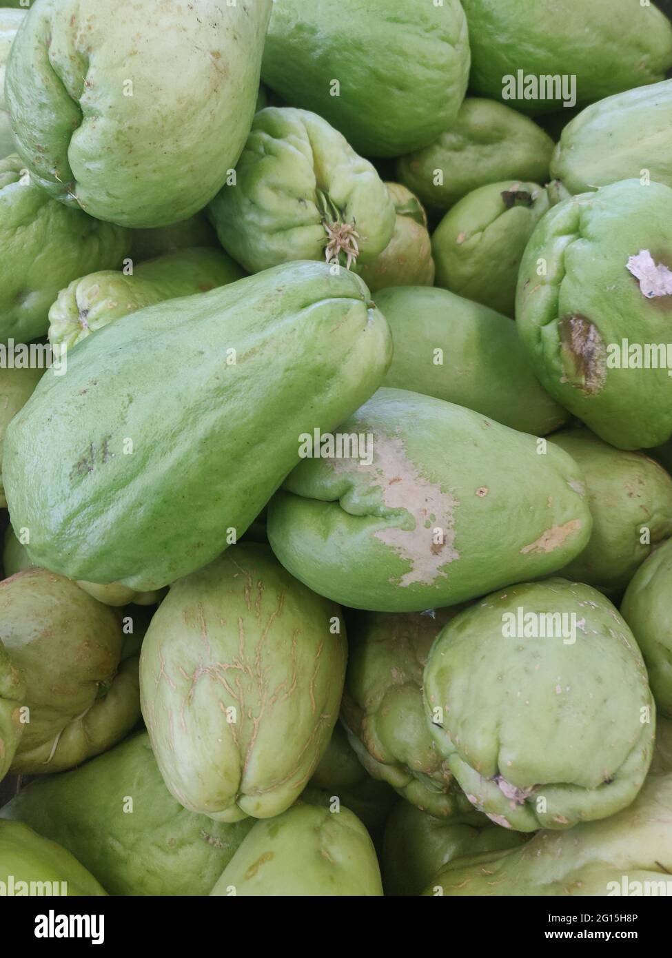 Gourd family hi-res stock photography and images - Alamy