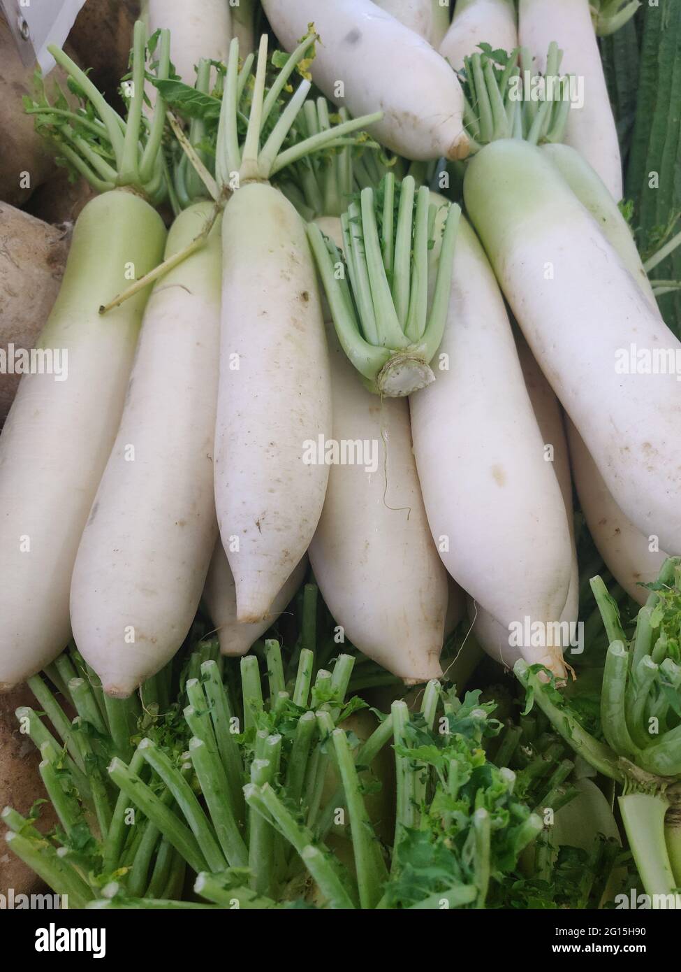 Daikon, also known as white radish, Japanese radish, Chinese radish