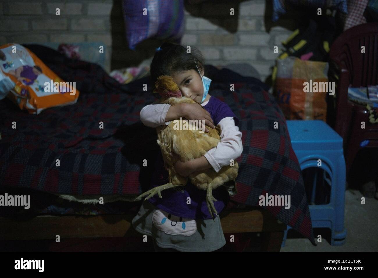 Joseline 4 Hugs A Chicken In Her Home In Chota Peru June 2 21 Picture Taken June 2 21 Reuters Alessandro Cinque Stock Photo Alamy