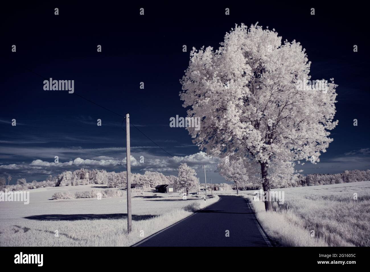 Infrared landscape with glowing white vegetation using 720nm filter ...