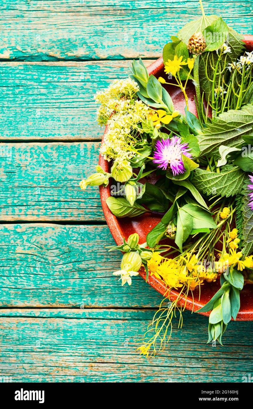 Herbal medicine, set of medicinal herbs and plants.Natural medicine and ...