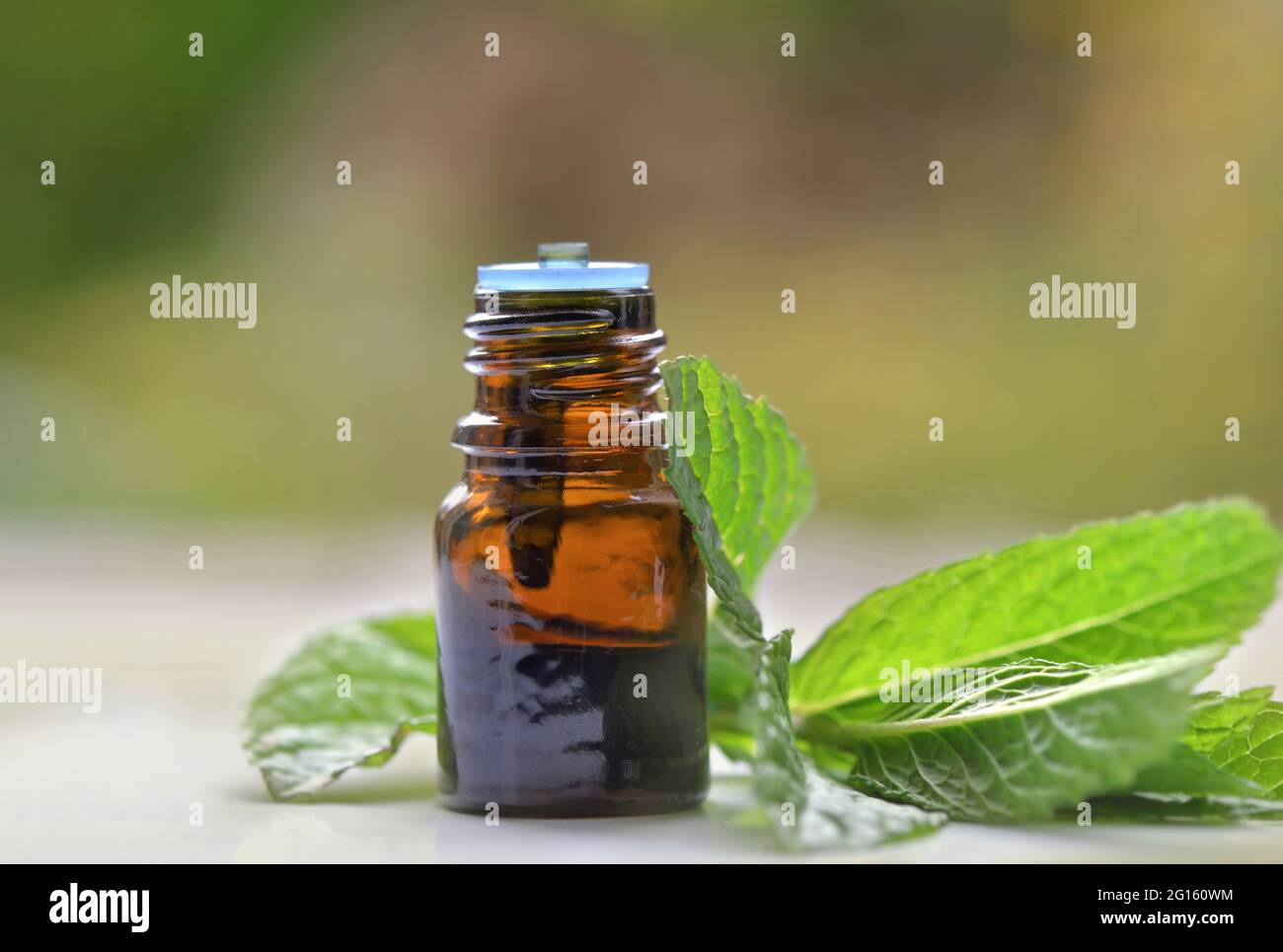 mint leaf with a bottle of aromatic oil on blur background Stock Photo